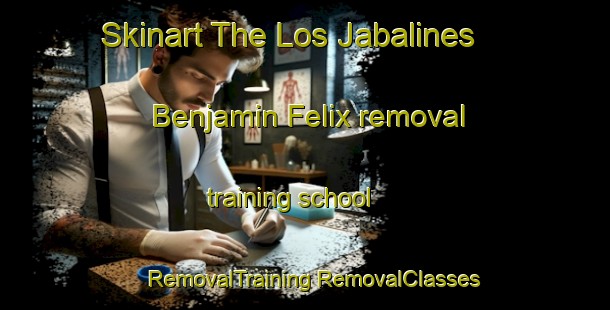 Skinart The Los Jabalines  Benjamin Felix removal training school | #RemovalTraining #RemovalClasses #SkinartTraining-Mexico