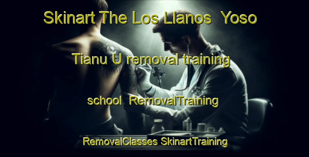 Skinart The Los Llanos  Yoso Tianu U removal training school | #RemovalTraining #RemovalClasses #SkinartTraining-Mexico