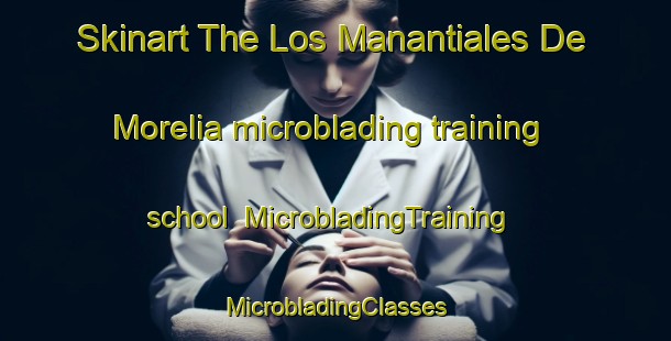 Skinart The Los Manantiales De Morelia microblading training school | #MicrobladingTraining #MicrobladingClasses #SkinartTraining-Mexico