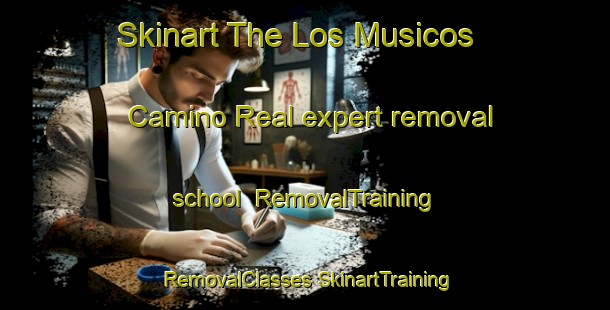 Skinart The Los Musicos  Camino Real expert removal school | #RemovalTraining #RemovalClasses #SkinartTraining-Mexico