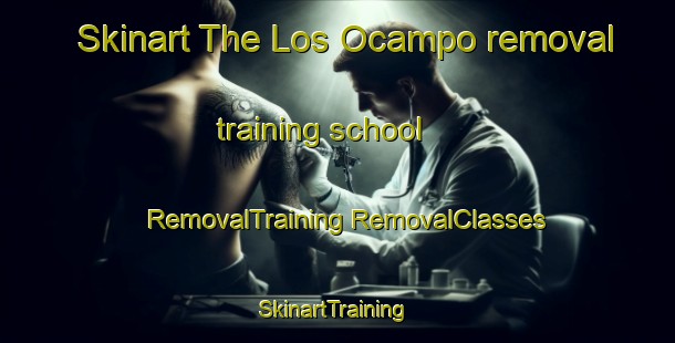 Skinart The Los Ocampo removal training school | #RemovalTraining #RemovalClasses #SkinartTraining-Mexico