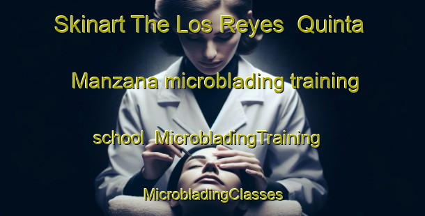 Skinart The Los Reyes  Quinta Manzana microblading training school | #MicrobladingTraining #MicrobladingClasses #SkinartTraining-Mexico