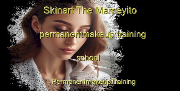 Skinart The Mameyito permanentmakeup training school | #PermanentmakeupTraining #PermanentmakeupClasses #SkinartTraining-Mexico