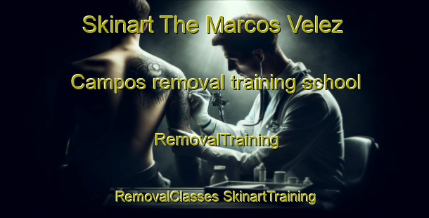 Skinart The Marcos Velez Campos removal training school | #RemovalTraining #RemovalClasses #SkinartTraining-Mexico