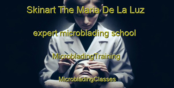 Skinart The Maria De La Luz expert microblading school | #MicrobladingTraining #MicrobladingClasses #SkinartTraining-Mexico