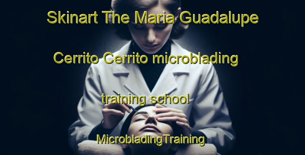 Skinart The Maria Guadalupe Cerrito Cerrito microblading training school | #MicrobladingTraining #MicrobladingClasses #SkinartTraining-Mexico