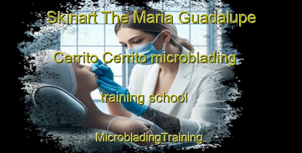 Skinart The Maria Guadalupe Cerrito Cerrito microblading training school | #MicrobladingTraining #MicrobladingClasses #SkinartTraining-Mexico