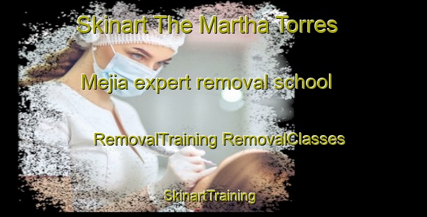 Skinart The Martha Torres Mejia expert removal school | #RemovalTraining #RemovalClasses #SkinartTraining-Mexico