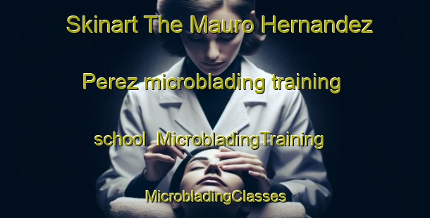 Skinart The Mauro Hernandez Perez microblading training school | #MicrobladingTraining #MicrobladingClasses #SkinartTraining-Mexico