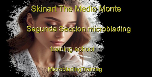 Skinart The Medio Monte Segunda Seccion microblading training school | #MicrobladingTraining #MicrobladingClasses #SkinartTraining-Mexico