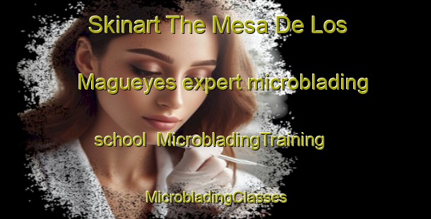 Skinart The Mesa De Los Magueyes expert microblading school | #MicrobladingTraining #MicrobladingClasses #SkinartTraining-Mexico