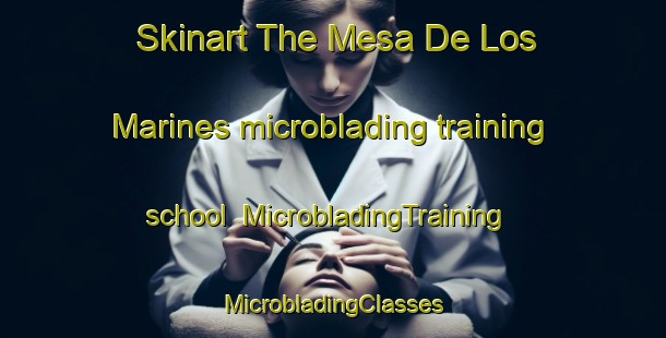 Skinart The Mesa De Los Marines microblading training school | #MicrobladingTraining #MicrobladingClasses #SkinartTraining-Mexico