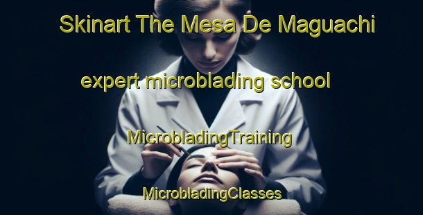 Skinart The Mesa De Maguachi expert microblading school | #MicrobladingTraining #MicrobladingClasses #SkinartTraining-Mexico