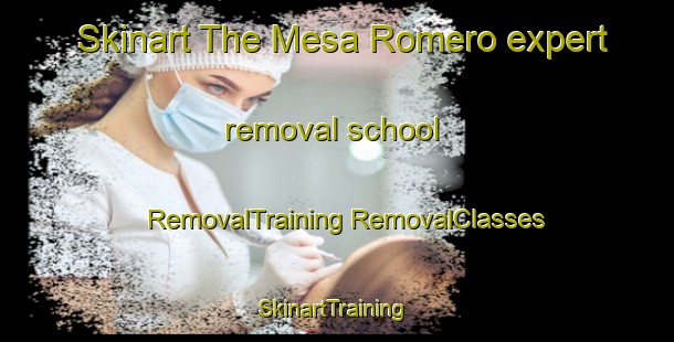 Skinart The Mesa Romero expert removal school | #RemovalTraining #RemovalClasses #SkinartTraining-Mexico