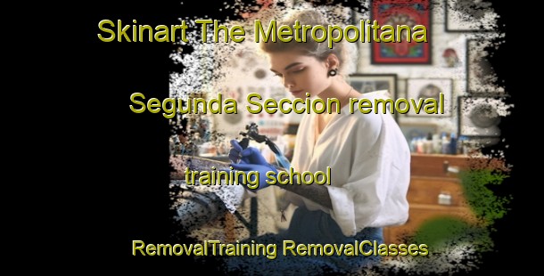 Skinart The Metropolitana Segunda Seccion removal training school | #RemovalTraining #RemovalClasses #SkinartTraining-Mexico