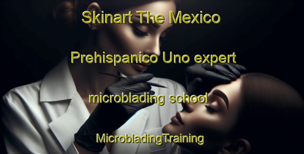 Skinart The Mexico Prehispanico Uno expert microblading school | #MicrobladingTraining #MicrobladingClasses #SkinartTraining-Mexico