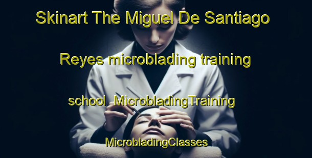 Skinart The Miguel De Santiago Reyes microblading training school | #MicrobladingTraining #MicrobladingClasses #SkinartTraining-Mexico