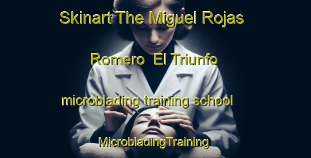 Skinart The Miguel Rojas Romero  El Triunfo microblading training school | #MicrobladingTraining #MicrobladingClasses #SkinartTraining-Mexico