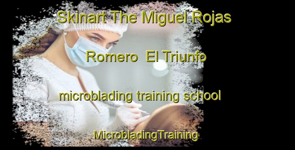 Skinart The Miguel Rojas Romero  El Triunfo microblading training school | #MicrobladingTraining #MicrobladingClasses #SkinartTraining-Mexico