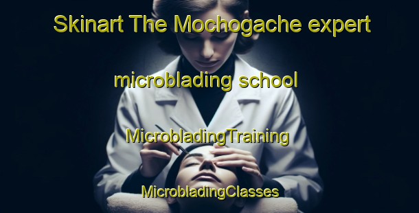 Skinart The Mochogache expert microblading school | #MicrobladingTraining #MicrobladingClasses #SkinartTraining-Mexico