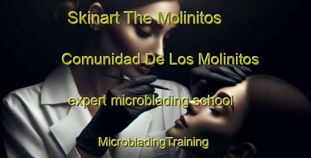 Skinart The Molinitos  Comunidad De Los Molinitos expert microblading school | #MicrobladingTraining #MicrobladingClasses #SkinartTraining-Mexico