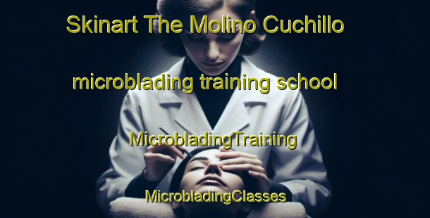 Skinart The Molino Cuchillo microblading training school | #MicrobladingTraining #MicrobladingClasses #SkinartTraining-Mexico