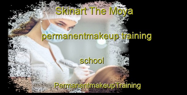 Skinart The Moya permanentmakeup training school | #PermanentmakeupTraining #PermanentmakeupClasses #SkinartTraining-Mexico