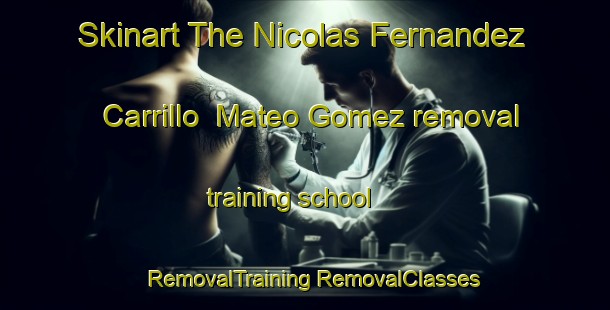 Skinart The Nicolas Fernandez Carrillo  Mateo Gomez removal training school | #RemovalTraining #RemovalClasses #SkinartTraining-Mexico