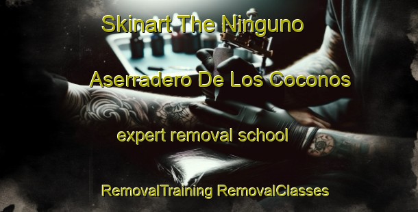 Skinart The Ninguno  Aserradero De Los Coconos expert removal school | #RemovalTraining #RemovalClasses #SkinartTraining-Mexico