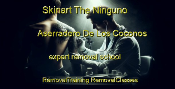 Skinart The Ninguno  Aserradero De Los Coconos expert removal school | #RemovalTraining #RemovalClasses #SkinartTraining-Mexico