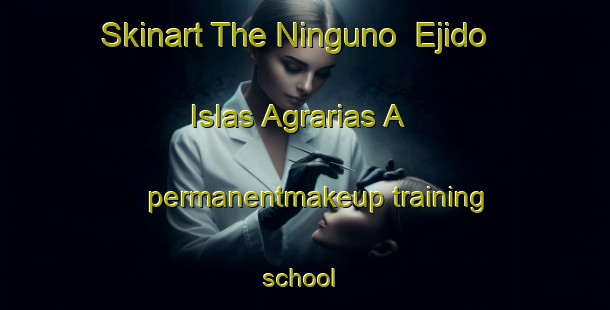 Skinart The Ninguno  Ejido Islas Agrarias A permanentmakeup training school | #PermanentmakeupTraining #PermanentmakeupClasses #SkinartTraining-Mexico