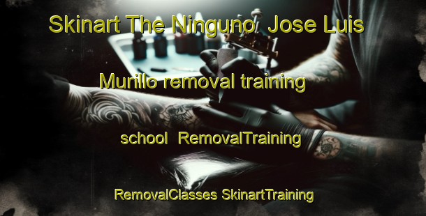 Skinart The Ninguno  Jose Luis Murillo removal training school | #RemovalTraining #RemovalClasses #SkinartTraining-Mexico