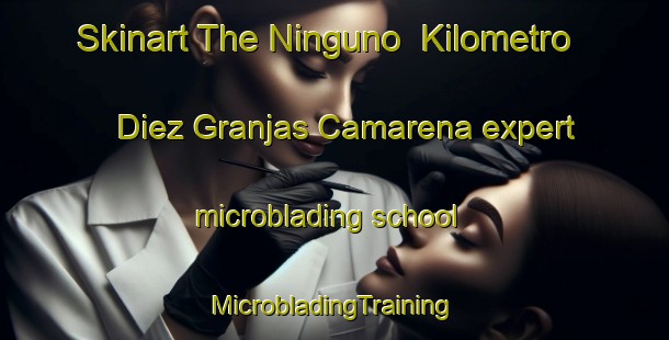 Skinart The Ninguno  Kilometro Diez Granjas Camarena expert microblading school | #MicrobladingTraining #MicrobladingClasses #SkinartTraining-Mexico