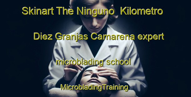 Skinart The Ninguno  Kilometro Diez Granjas Camarena expert microblading school | #MicrobladingTraining #MicrobladingClasses #SkinartTraining-Mexico