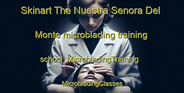 Skinart The Nuestra Senora Del Monte microblading training school | #MicrobladingTraining #MicrobladingClasses #SkinartTraining-Mexico