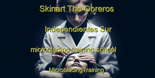 Skinart The Obreros Independientes Sur microblading training school | #MicrobladingTraining #MicrobladingClasses #SkinartTraining-Mexico