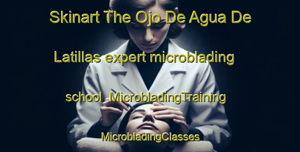 Skinart The Ojo De Agua De Latillas expert microblading school | #MicrobladingTraining #MicrobladingClasses #SkinartTraining-Mexico