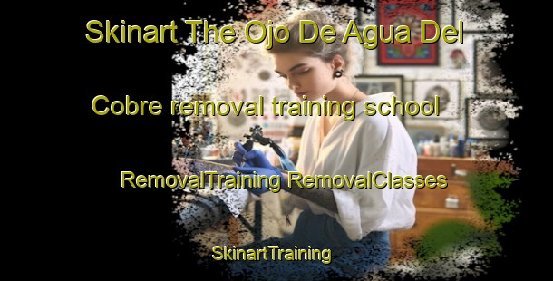 Skinart The Ojo De Agua Del Cobre removal training school | #RemovalTraining #RemovalClasses #SkinartTraining-Mexico