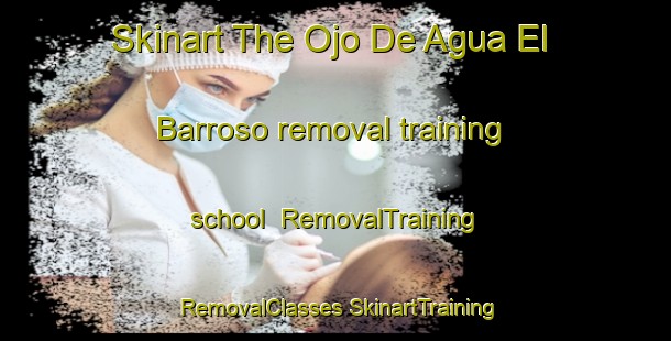 Skinart The Ojo De Agua El Barroso removal training school | #RemovalTraining #RemovalClasses #SkinartTraining-Mexico