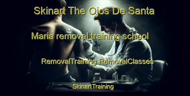 Skinart The Ojos De Santa Maria removal training school | #RemovalTraining #RemovalClasses #SkinartTraining-Mexico