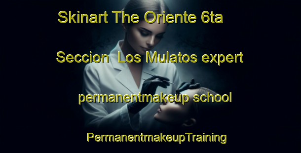 Skinart The Oriente 6ta  Seccion  Los Mulatos expert permanentmakeup school | #PermanentmakeupTraining #PermanentmakeupClasses #SkinartTraining-Mexico