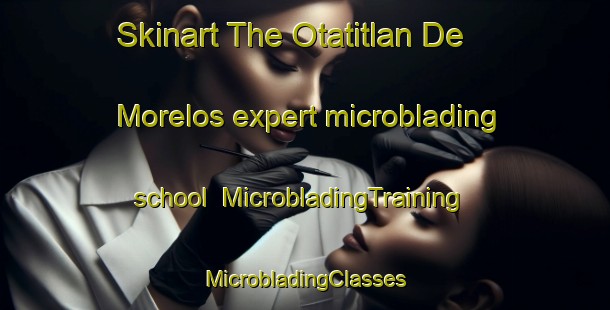 Skinart The Otatitlan De Morelos expert microblading school | #MicrobladingTraining #MicrobladingClasses #SkinartTraining-Mexico