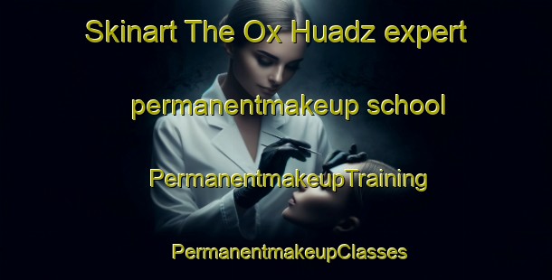 Skinart The Ox Huadz expert permanentmakeup school | #PermanentmakeupTraining #PermanentmakeupClasses #SkinartTraining-Mexico