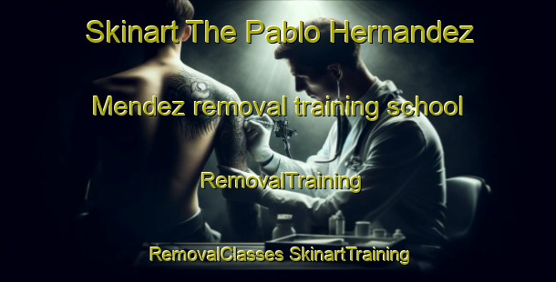 Skinart The Pablo Hernandez Mendez removal training school | #RemovalTraining #RemovalClasses #SkinartTraining-Mexico