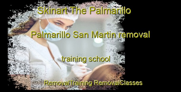 Skinart The Palmarillo  Palmarillo San Martin removal training school | #RemovalTraining #RemovalClasses #SkinartTraining-Mexico