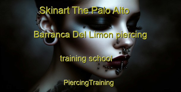 Skinart The Palo Alto  Barranca Del Limon piercing training school | #PiercingTraining #PiercingClasses #SkinartTraining-Mexico