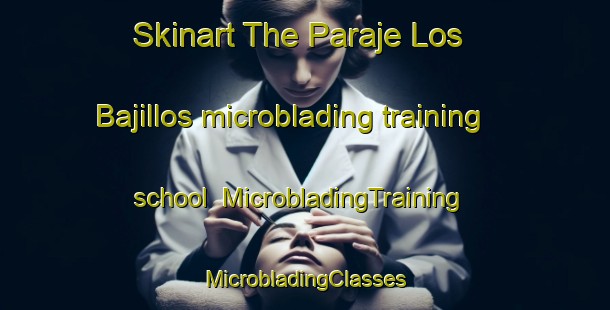 Skinart The Paraje Los Bajillos microblading training school | #MicrobladingTraining #MicrobladingClasses #SkinartTraining-Mexico