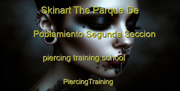 Skinart The Parque De Poblamiento Segunda Seccion piercing training school | #PiercingTraining #PiercingClasses #SkinartTraining-Mexico