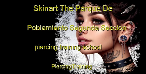 Skinart The Parque De Poblamiento Segunda Seccion piercing training school | #PiercingTraining #PiercingClasses #SkinartTraining-Mexico