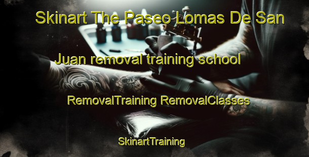 Skinart The Paseo Lomas De San Juan removal training school | #RemovalTraining #RemovalClasses #SkinartTraining-Mexico